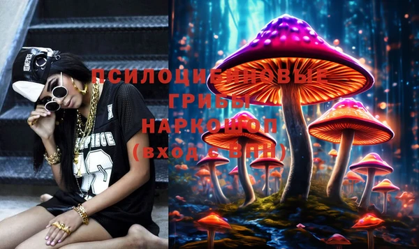 каннабис Арсеньев