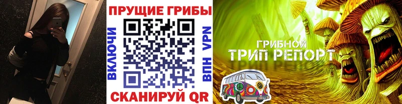 Галлюциногенные грибы мухоморы omg вход Асино