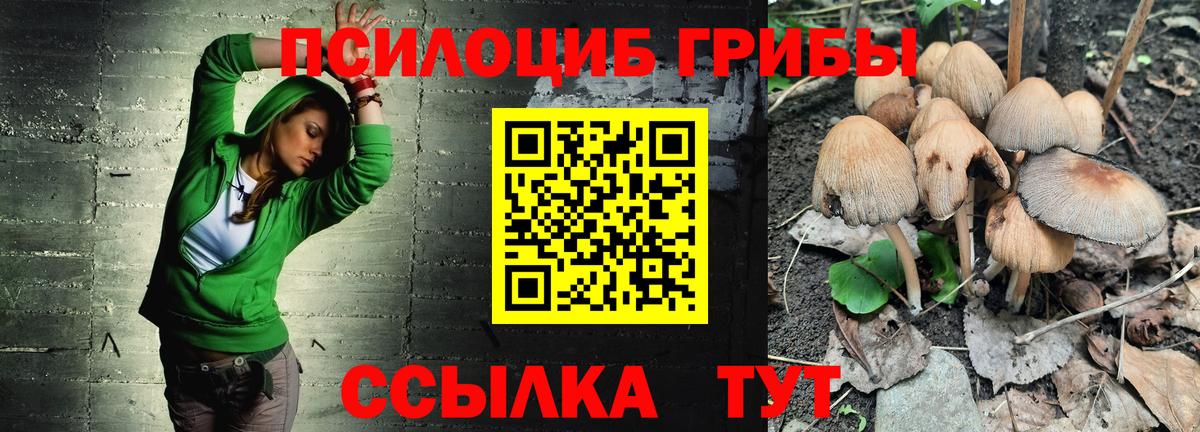 Псилоцибиновые грибы Magic Shrooms Асино