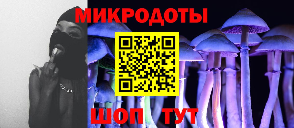 купить   Галлюциногенные грибы Magic Shrooms  Асино  Галлюциногенные грибы мухоморы 